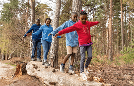 It has survived not only five centuries.