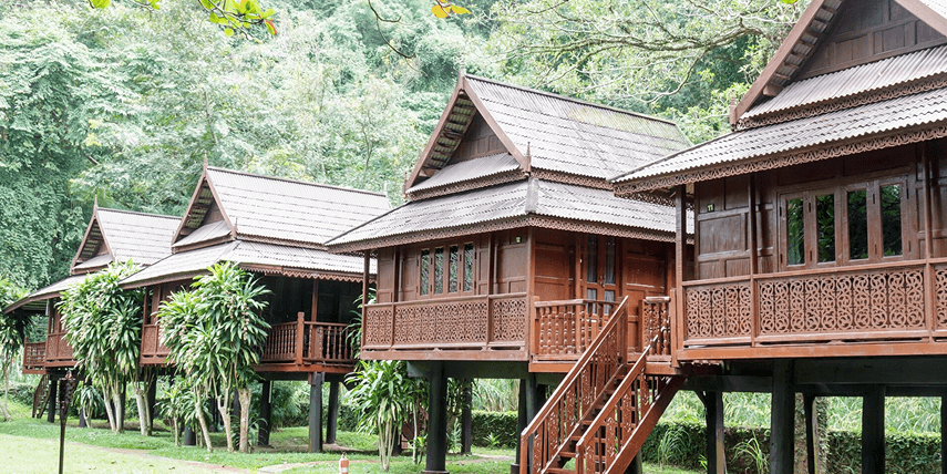 Double Tree By James Lodges